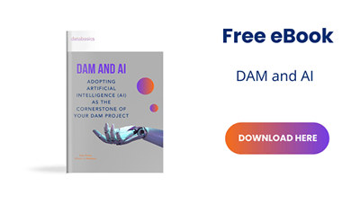 Signature banner DAM and AI book cover 